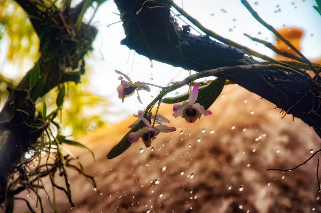 Pousada Marimar Ilha do Mel Dış mekan fotoğraf